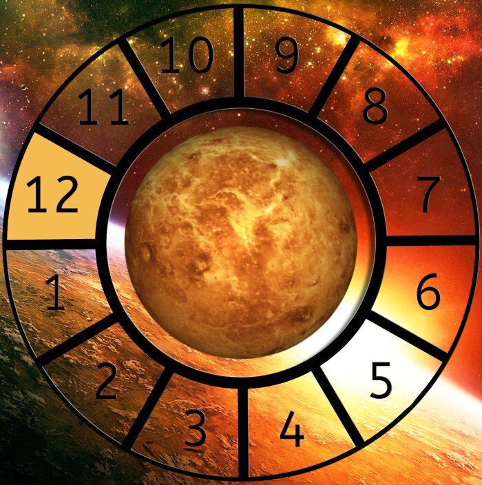 Venus shown within a Astrological House wheel highlighting the 12th House